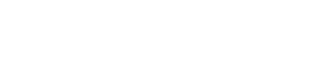 MAXIM303